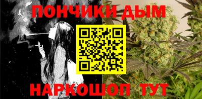 дмт Бийск