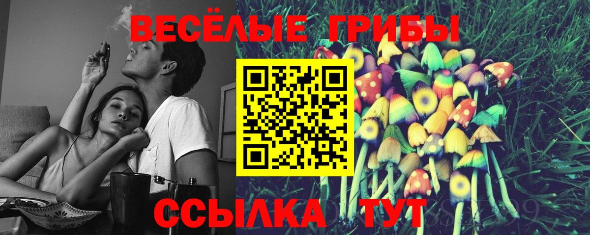 Галлюциногенные грибы Psilocybe  Вход с VPN  Избербаш 
